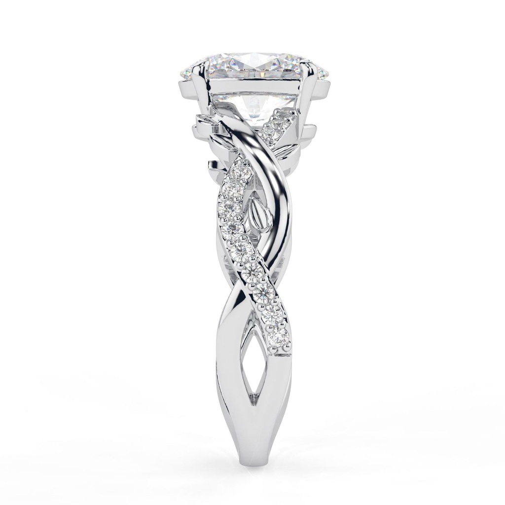 RI5179-3.296 (1).jpg