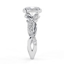 RI5179-3.296 (1).jpg