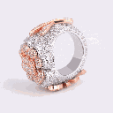 RI5559-2.ai_1738736039130.png