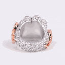 RI5559-1.ai_1738736034962.png