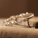 RI5655-4.png