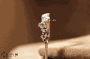 RI5669-1.png