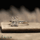 RI5677-4.png