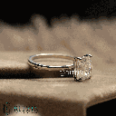 RI5677-2.png