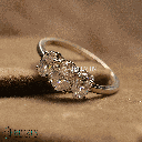 RI5679-2.png
