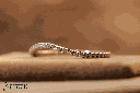 RI5690-3.png