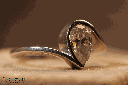 RI5697-5.png