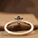 RI5702-4.png