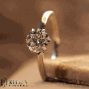 RI5702-3.png