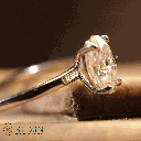 RI5703-2.png