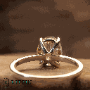 RI5721-1.png