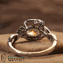 RI5727-1.png