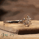RI5729-1.png