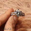 RI5833-3.png