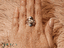 RI5834-1.png