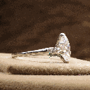 RI5856-5.png