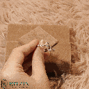 RI5860-1.png