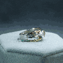 RI5785-4.png