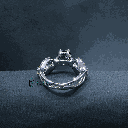 RI5815-3.png