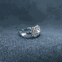 RI5767-9.png