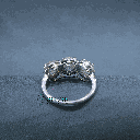 RI5799-9.png