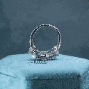 RI5799-3.png