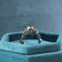 RI5790-7.png
