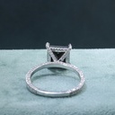 RI5800-10.JPG