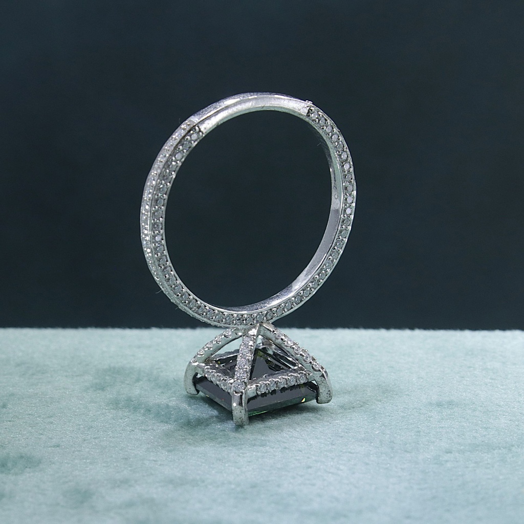 RI5800-9.JPG