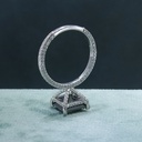 RI5800-9.JPG