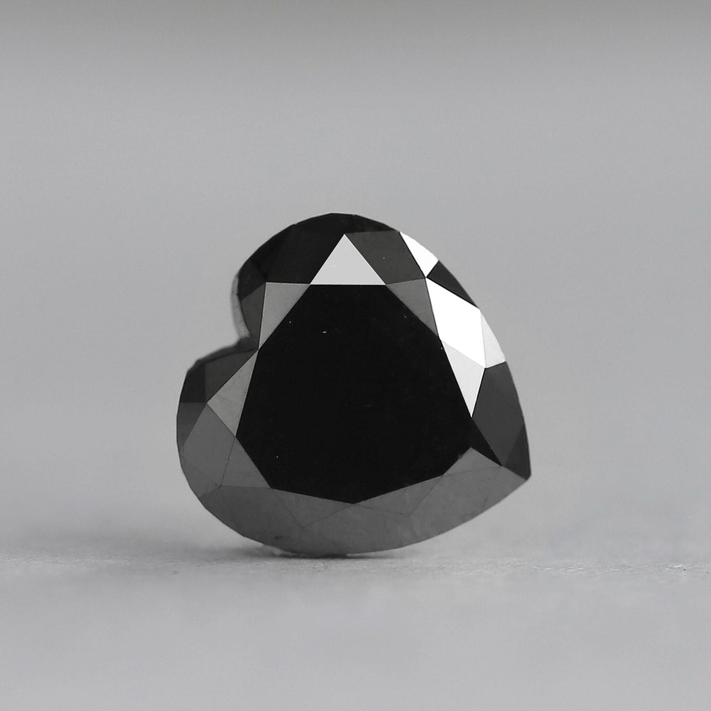 MO2831-1.jpg