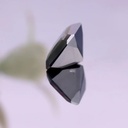 MO3166-2.jpg