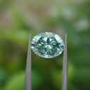 MO566-5.jpg