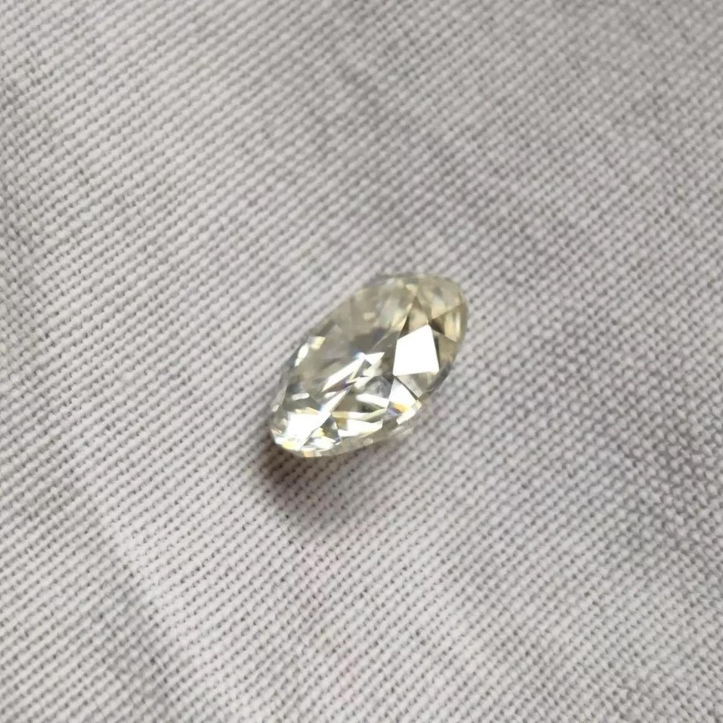 MO2428-5.jpg