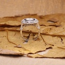 RI2933-6.jpg