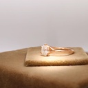 RI3644-3.jpg