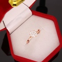 RI3644-1.jpg