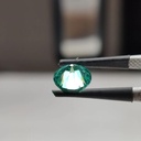 MO4439-4.jpg
