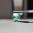 MO4439-2.jpg