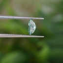 MO4826-5.jpg