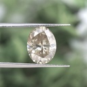 MO5125-3.jpg