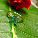 FLSDSDWhatsApp Image 2022-07-14 at 5.19.29 PM_1280_850 (2).jpg