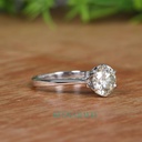 SD169-1_4000_4000 (2).jpg