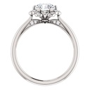 SD106-1_1000_1000 (2).jpg