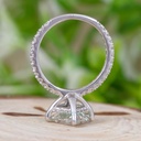 SD254 (5)_4000_4000.jpg