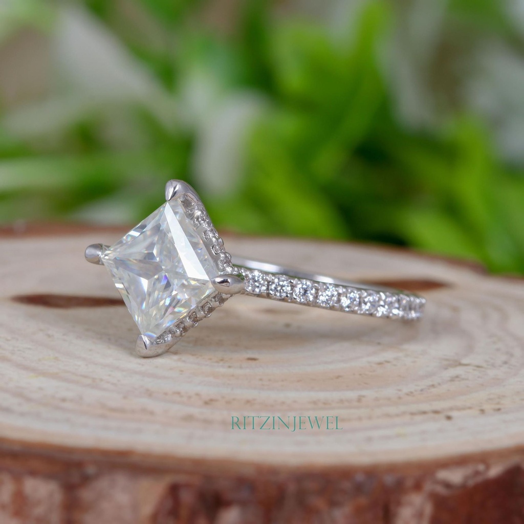 SD254 (2)_4000_4000.jpg