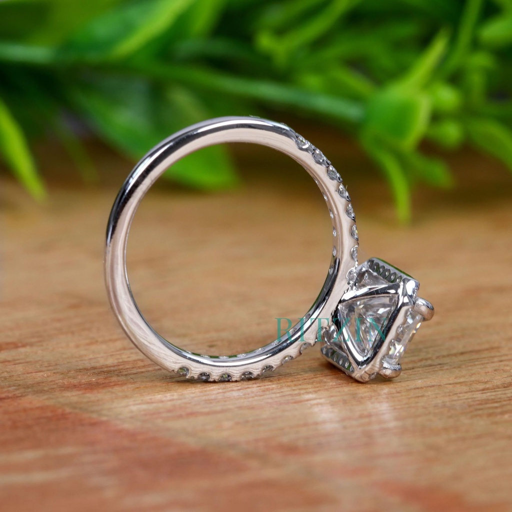 SD361 (6)_4000_4000.jpg