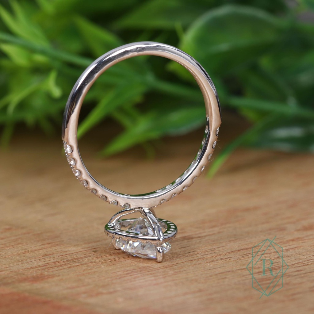 SD263 (6)_4000_4000.jpg