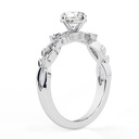 RI4798-1.199 (1).jpg