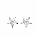 Marquise Cut Earring For Women